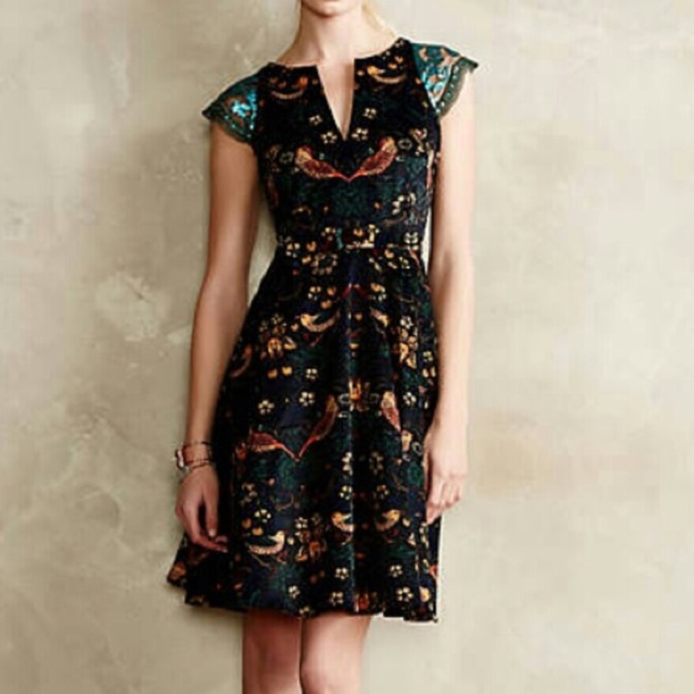 Eva Franco Larksong Dress Size 0